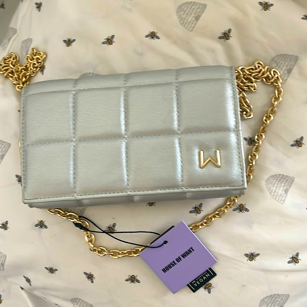 Silver wallet/ crossbody with chain
